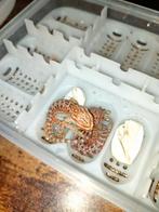 Babybaardagaampjes(pogona viticeps), Dieren en Toebehoren