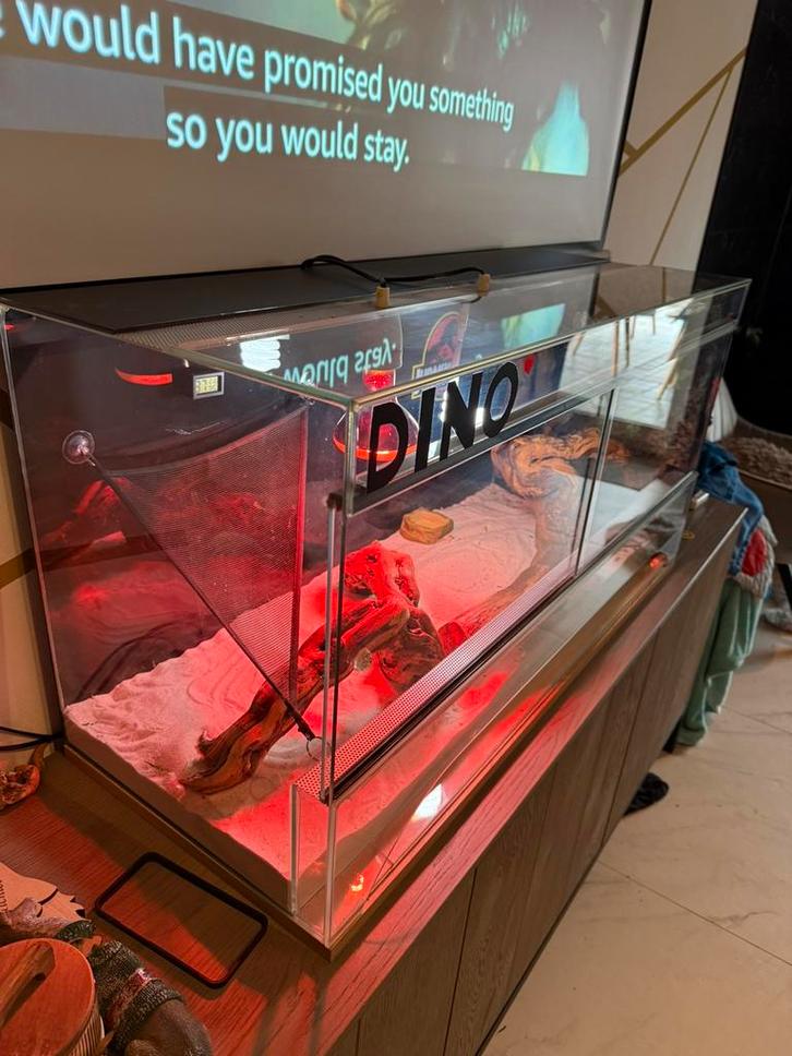 Terrarium en toebehoren, Dieren en Toebehoren, Reptielen en Amfibieën | Toebehoren, Gebruikt, Ophalen