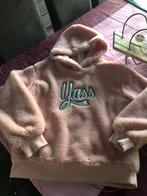 2 warme truien met kap maat 146-152, Kinderen en Baby's, Kinderkleding | Maat 152, Ophalen, Zo goed als nieuw, Meisje, Trui of Vest