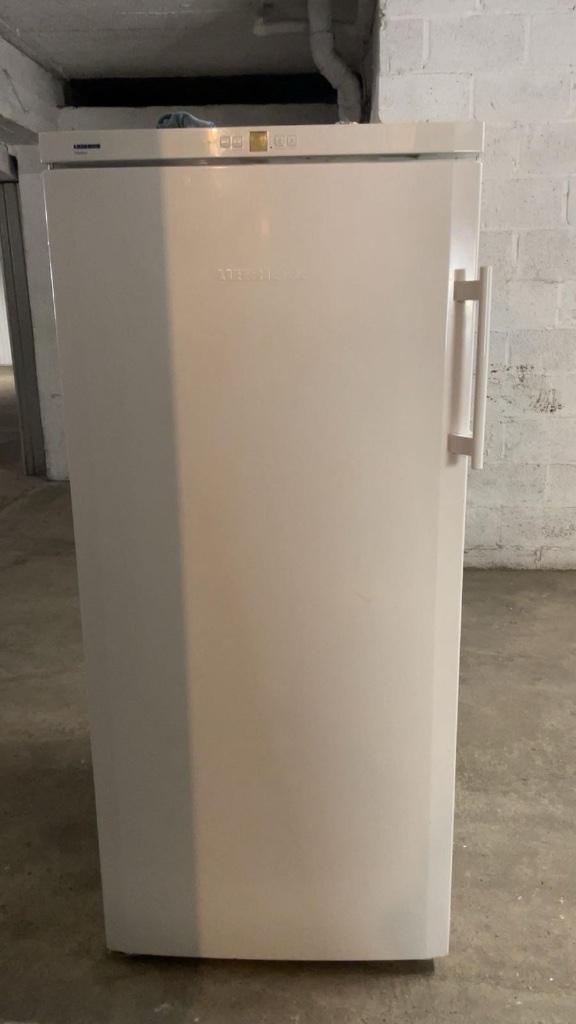 Diepvrieskast Liebherr – werkt perfect– snel afhalen, Elektronische apparatuur, Vriezers en Diepvrieskisten, Gebruikt, Vrijstaand