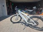 Stromer St3 pinion maat M, Fietsen en Brommers, Elektrische fietsen, Ophalen, 50 km per accu of meer, Stromer