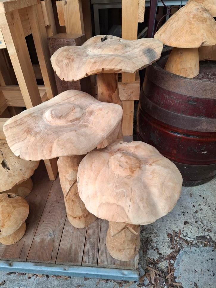 Grote set v 3 stuks teak houten paddestoelen v tuindecoratie, Tuin en Terras, Tuinwanddecoratie, Ophalen