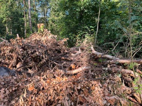 Gratis brandhout, Jardin & Terrasse, Bois de chauffage, Branches, Enlèvement