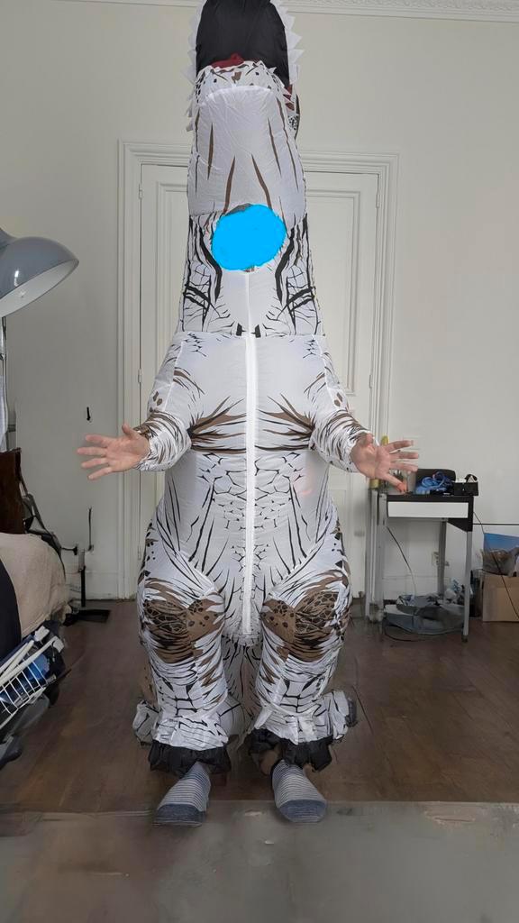 Opblaasbare kostuums 2 dinosaurussen en 1 Sumo, Kleding | Dames, Carnavalskleding en Feestkleding, Gedragen, Ophalen of Verzenden