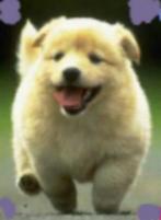 Warme Stem zoekt werk, Vacatures, Rijbewijs B, Variabele uren, Overige branches, Overige vormen