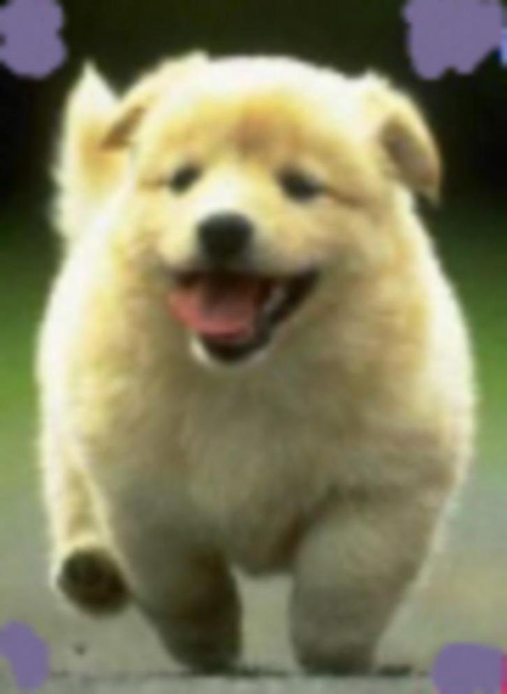 Warme Stem zoekt werk, Vacatures, Profielen | Man/Vrouw zoekt werk, Overige vormen, Variabele uren, Rijbewijs B, Administratief en Secretariaat