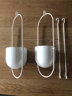 porte-plantes Chilistrân, Enlèvement, Autres espèces