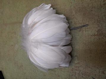 Witte hanenpluim beschikbaar voor biedingen