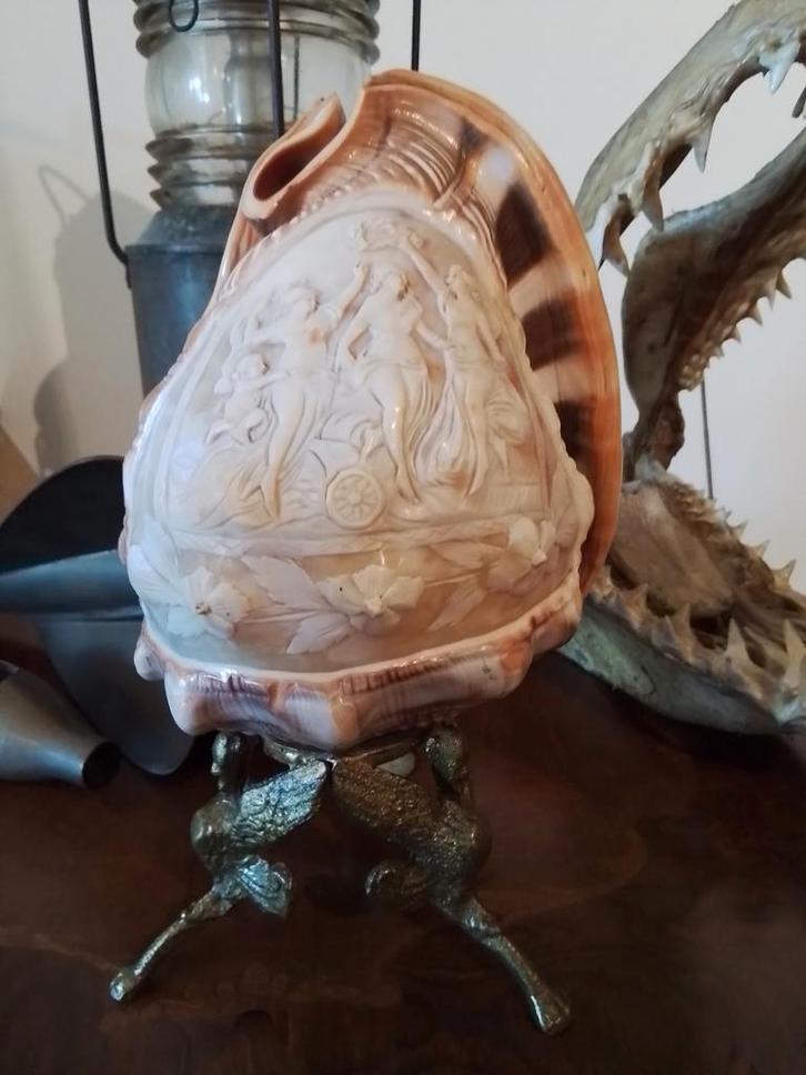 PRACHTIGE ANTIEKE HANDGESNEDEN CAMEE SCHELP  - ITALIË - 1930, Antiek en Kunst, Curiosa en Brocante, Ophalen