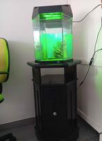 Aquarium compleet met doos, Dieren en Toebehoren, Vissen | Aquaria en Toebehoren, Ophalen of Verzenden