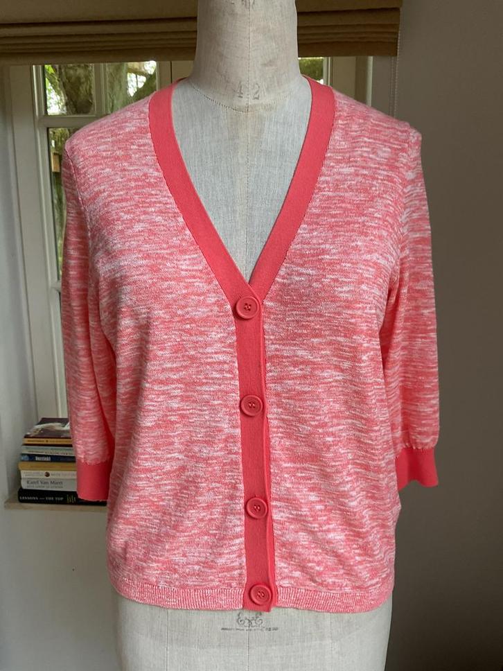 Nieuw met prijskaartje.Gilet van Terre Bleue maat 38, Kleding | Dames, Truien en Vesten, Nieuw, Maat 36 (S), Overige kleuren, Ophalen of Verzenden