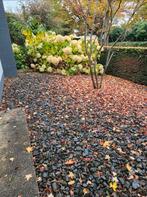 Galets décoratifs, gratuits, Enlèvement, Comme neuf