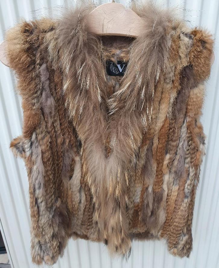Bodywarmer uit bont van konijn en wasbeer maat M, Kleding | Dames, Bodywarmers, Zo goed als nieuw, Maat 38/40 (M), Ophalen of Verzenden