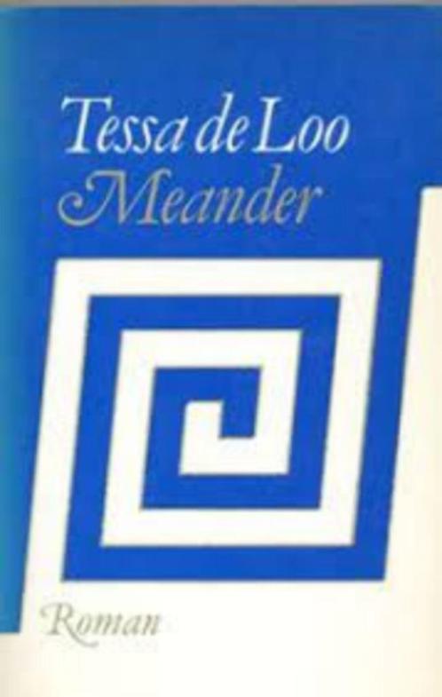 Meander|Tessa de Loo Duyvené de Wit 9029528974, Boeken, Romans, Zo goed als nieuw, Nederland, Ophalen of Verzenden