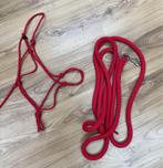 Set touwhalster & leadrope rood - nieuw, Dieren en Toebehoren, Ophalen of Verzenden, Nieuw, Overige soorten