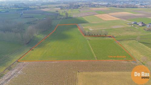 Grond te koop in Herzele Hillegem, Immo, Gronden en Bouwgronden, 1500 m² of meer