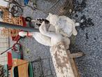 cementen eenden  €40 per stuk, Antiek en Kunst, Ophalen