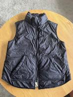 Bodywarmer Gigue world, Kleding | Dames, Bodywarmers, Gigue, Ophalen of Verzenden, Maat 36 (S)