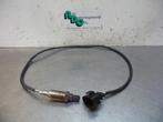 Sonde lambda d'un Volkswagen Passat (Passat 96-), Volkswagen, -, 3 mois de garantie, Utilisé