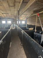 Paneltim panelen voor varkenshokken te koop, Dieren en Toebehoren