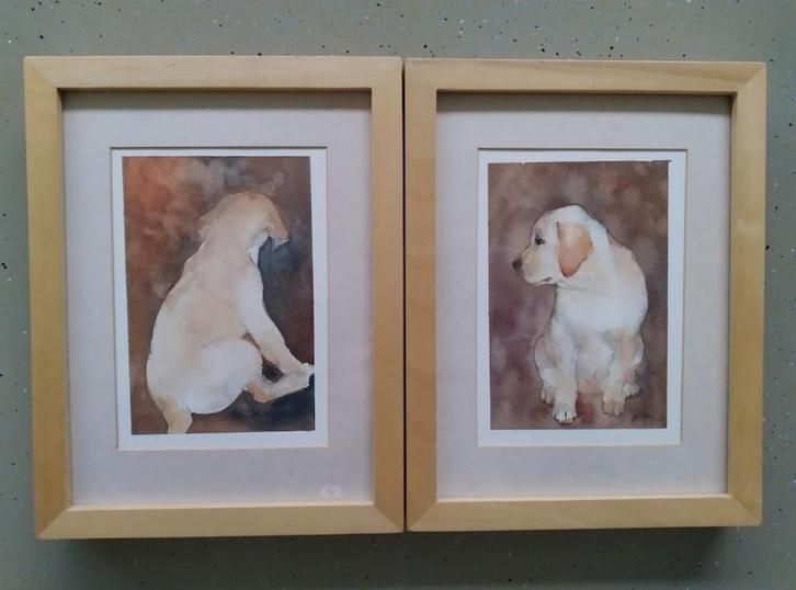Mooi setje aquarellen van een hond - voor - en achterzijde, Antiek en Kunst, Kunst | Schilderijen | Klassiek, Ophalen of Verzenden
