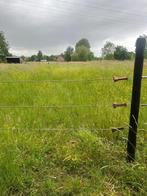 Zomerweide te huur, Dieren en Toebehoren, Stalling en Weidegang, Weidegang