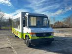 2011 Mercedes-Benz Vario 813 D Vrachtwagen, Overige brandstoffen, Mercedes-Benz, Bedrijf, Te koop