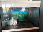 aquarium, Dieren en Toebehoren, Ophalen, Gebruikt, Leeg aquarium
