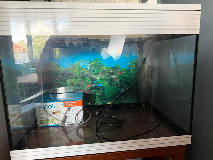 aquarium, Dieren en Toebehoren, Vissen | Aquaria en Toebehoren, Gebruikt, Leeg aquarium, Ophalen