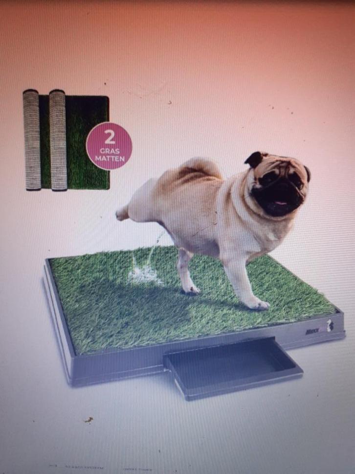 hondentoilet kunstgras NIEUW, Dieren en Toebehoren, Honden-accessoires, Nieuw, Ophalen of Verzenden