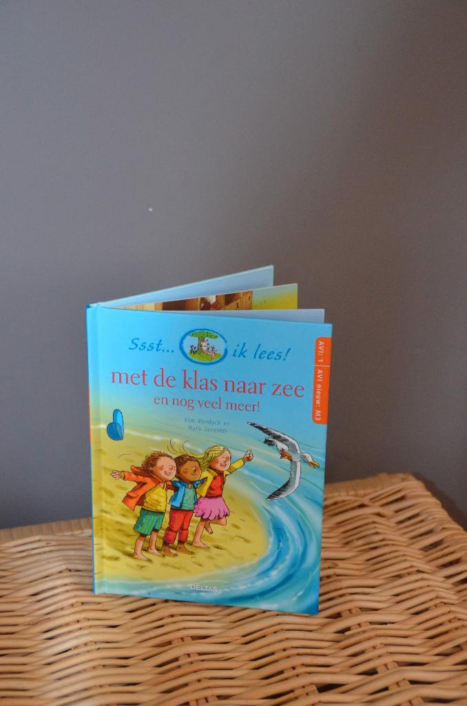 eerste leesboekje: met de klas naar zee, Boeken, Kinderboeken | Jeugd | onder 10 jaar, Zo goed als nieuw, Ophalen