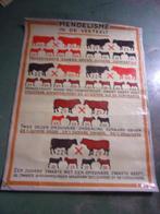 OUDE WANDKAART : MENDELISME IN DE VEETEELT, Ophalen of Verzenden, Natuur en Biologie