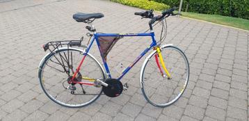 SPORTIEVE HERENFIETS MINERVA beschikbaar voor biedingen
