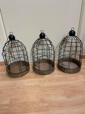 3 decoratieve vogelkooien beschikbaar voor biedingen