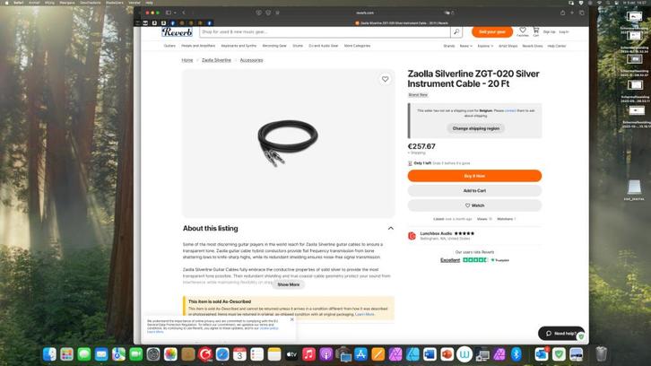 Zaolla Silverline Guitar Cable + Laney 65C akoestische, Muziek en Instrumenten, Snaarinstrumenten | Gitaren | Akoestisch, Zo goed als nieuw