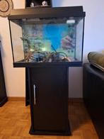 Aquarium avec son meuble, Enlèvement