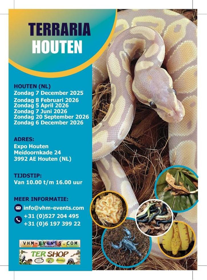 Terraria&Exoknaag Houten 07-12-2025 NL grootste, Dieren en Toebehoren, Insecten en Spinnen