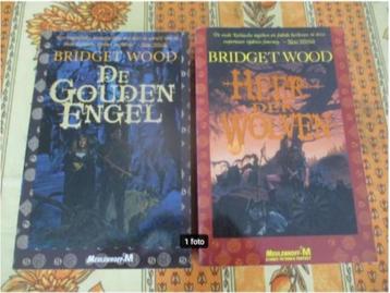 2 Mooie Fantasy Boeken van Bridget Wood beschikbaar voor biedingen