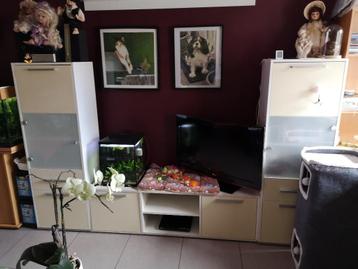 Tv kast beschikbaar voor biedingen
