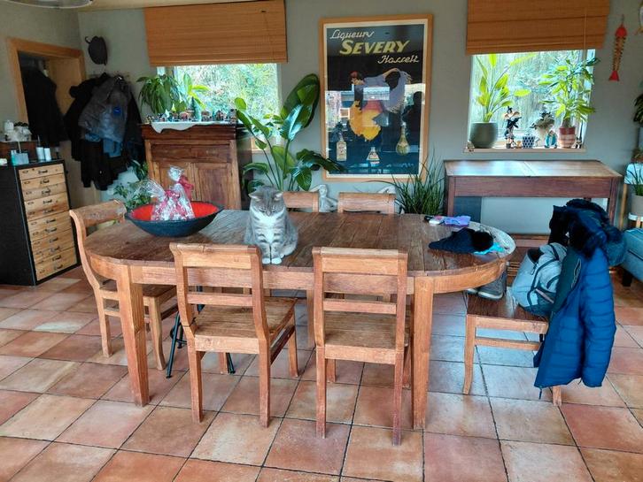 Houten tafel ruw hout en 6 stoelen, Huis en Inrichting, Tafels | Eettafels, Gebruikt, 100 tot 150 cm, 200 cm of meer, Vijf personen of meer