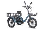 Cargo Trike Fafrees F20 mate, Fietsen en Brommers, Ophalen, Nieuw, 50 km per accu of meer, Overige merken