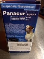 Behandeling lintwormen honden, puppies en knaagdieren, Dieren en Toebehoren, Ophalen, Hond