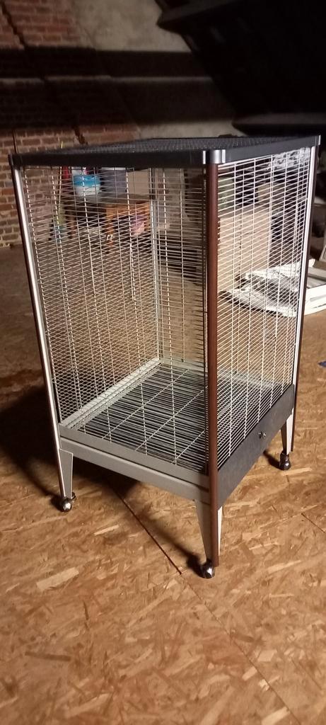 Knaagdieren/vogel kooi met wieltjes, Dieren en Toebehoren, Knaagdieren en Konijnen | Hokken en Kooien, Gebruikt, Kooi, 90 cm of meer