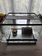 Terrarium, Dieren en Toebehoren