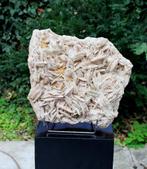 prachtige BARIET XXL 17,2 kg!!, Verzamelen, Ophalen of Verzenden, Mineraal