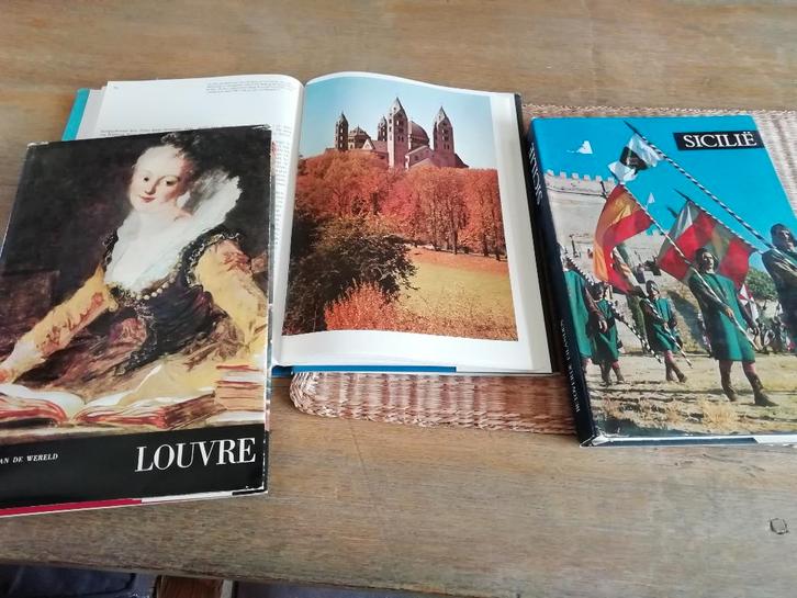 artisboeken, Livres, Livres d'images & Albums d'images, Comme neuf, Album d'images, Enlèvement ou Envoi