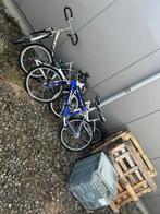 Vélos de différentes tailles, Enlèvement