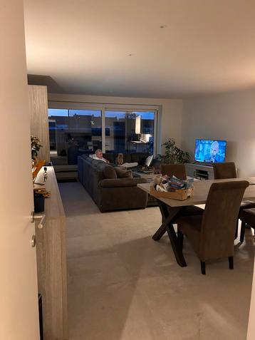 4 daime stoelen in goede staat beschikbaar voor biedingen