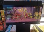Aquarium juwel 60cm op meubel, Ophalen, Zo goed als nieuw