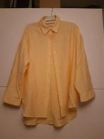 nieuwe gele bloes maat M, Kleding | Dames, Blouses en Tunieken, Ophalen of Verzenden, Nieuw, Maat 38/40 (M)
